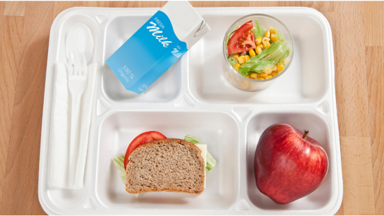 School lunch tray
